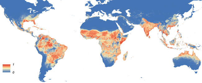 Global_Aedes_aegypti_distribution